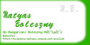 matyas boleszny business card